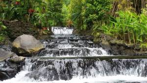 Pura Naturaleza, Pura Vida 