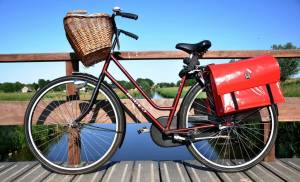 Tour en bici alrededor del Lago Constanza
