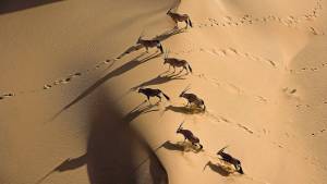 Namibia escénica
