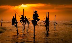 Conoce Sri Lanka Verano