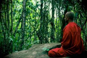 Sri Lanka y Maldivas