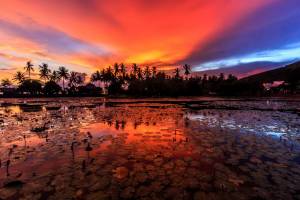 Descubre el origen de Indonesia 