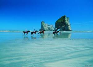 Aotearoa Tour 